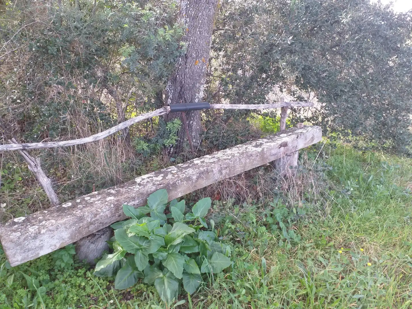 Terreni e lotti in vendita a Sur, imagen 31