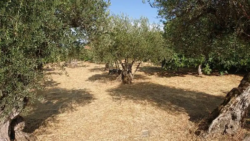 Terreni e lotti in vendita a Tejeda de Tiétar, imagen 15
