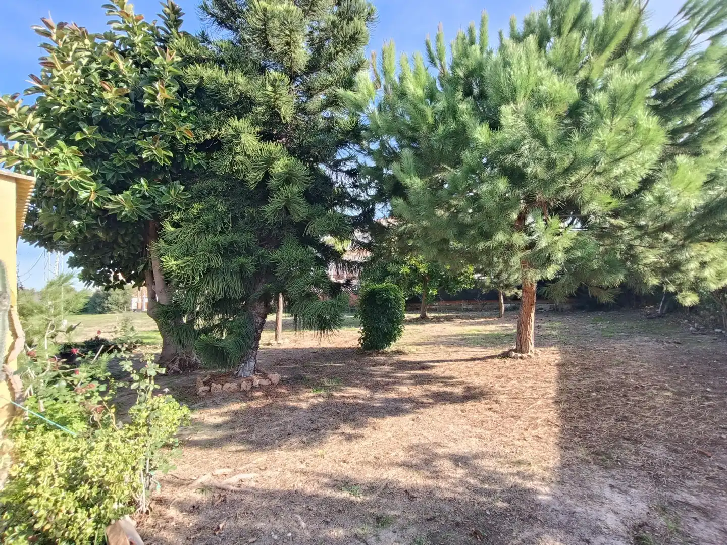 Haus zum Verkauf in Playa - Ben Afeli, imagen 8