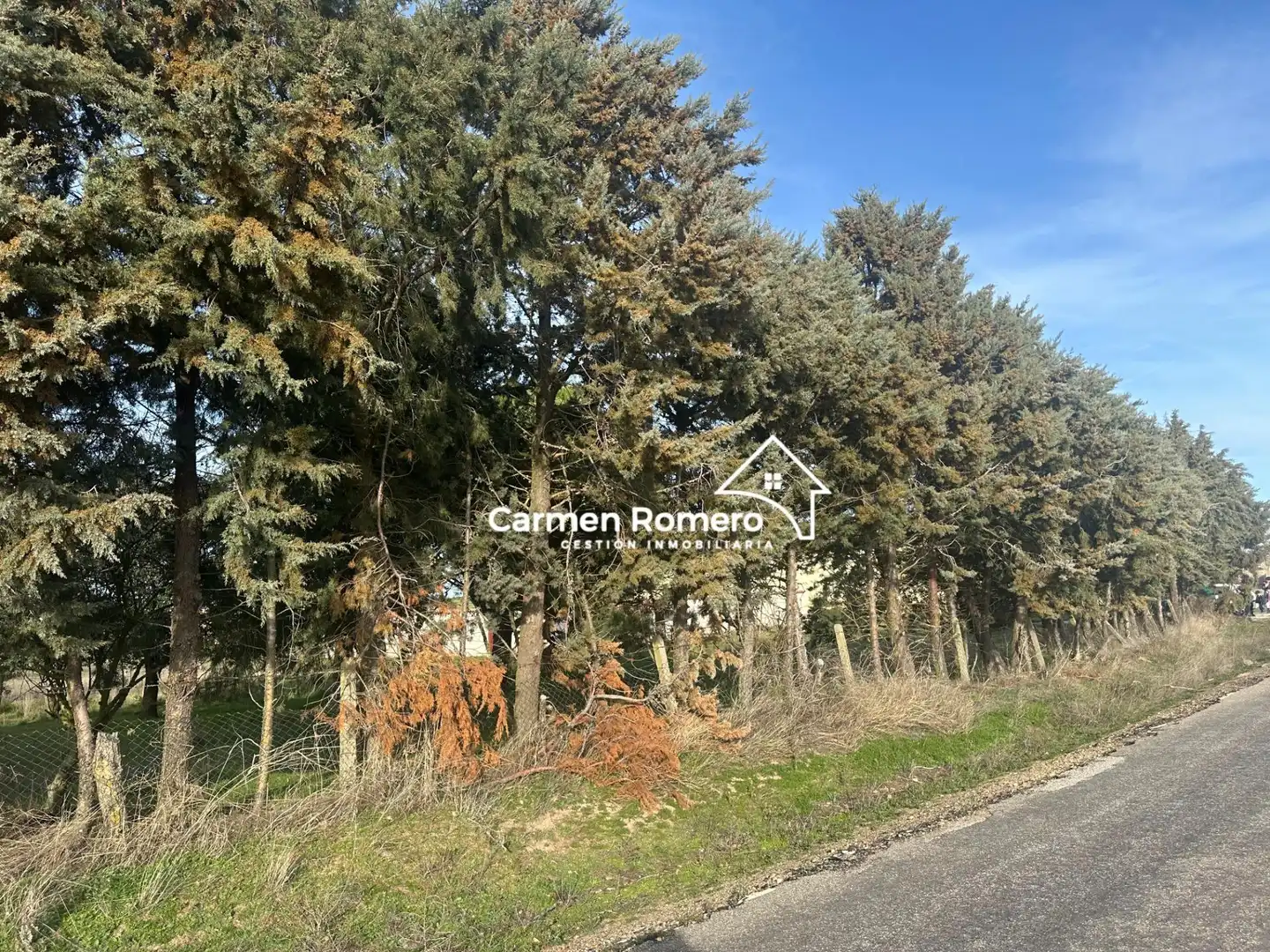 Residential for sale in Valdunciel