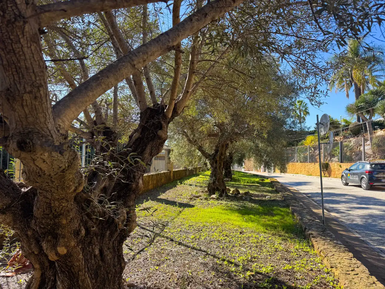 Terrenos y solares en venta en Milla de Oro, imagen 16