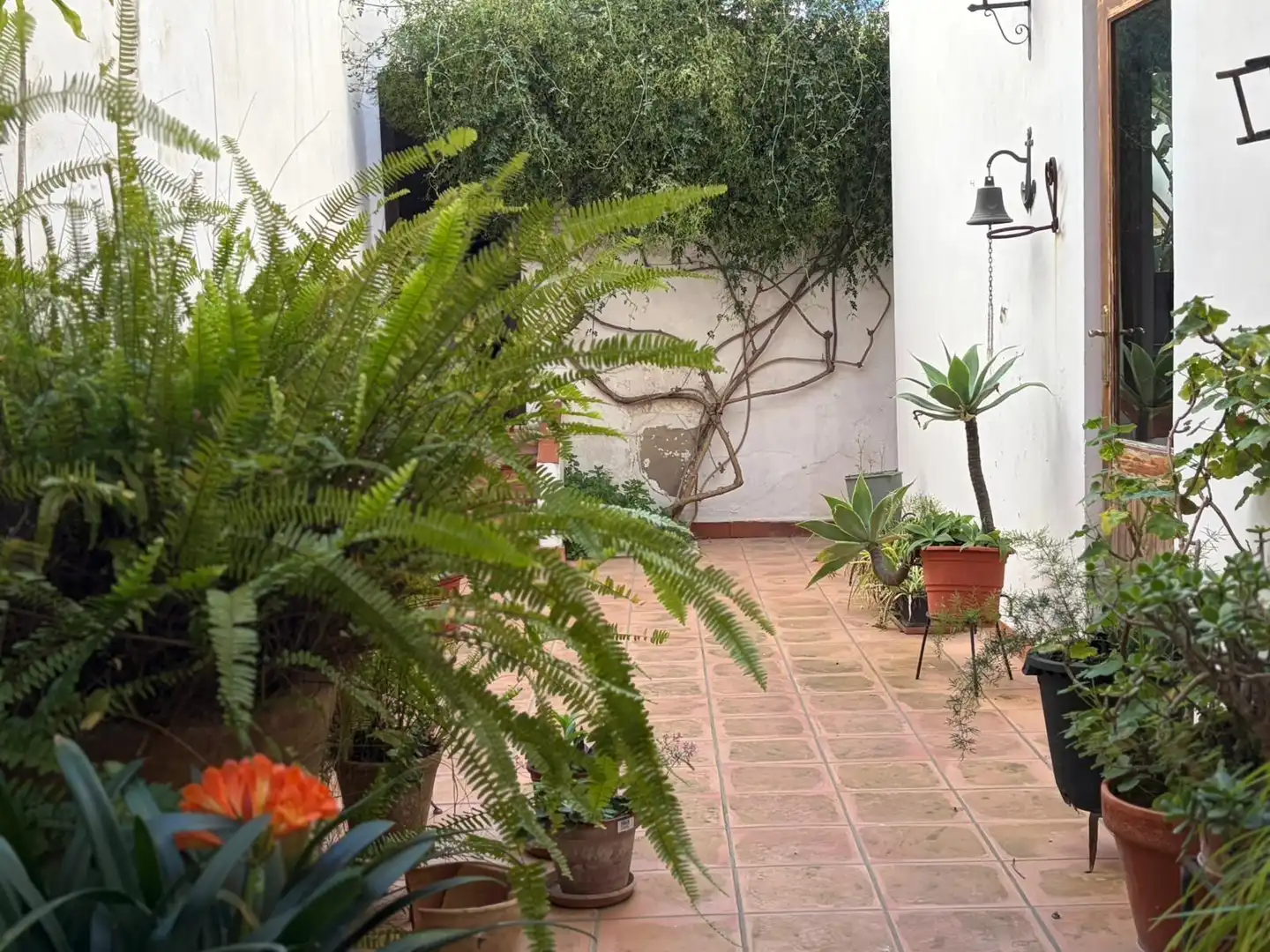 Casa con terraza en venta en Oliva pueblo, imagen 18
