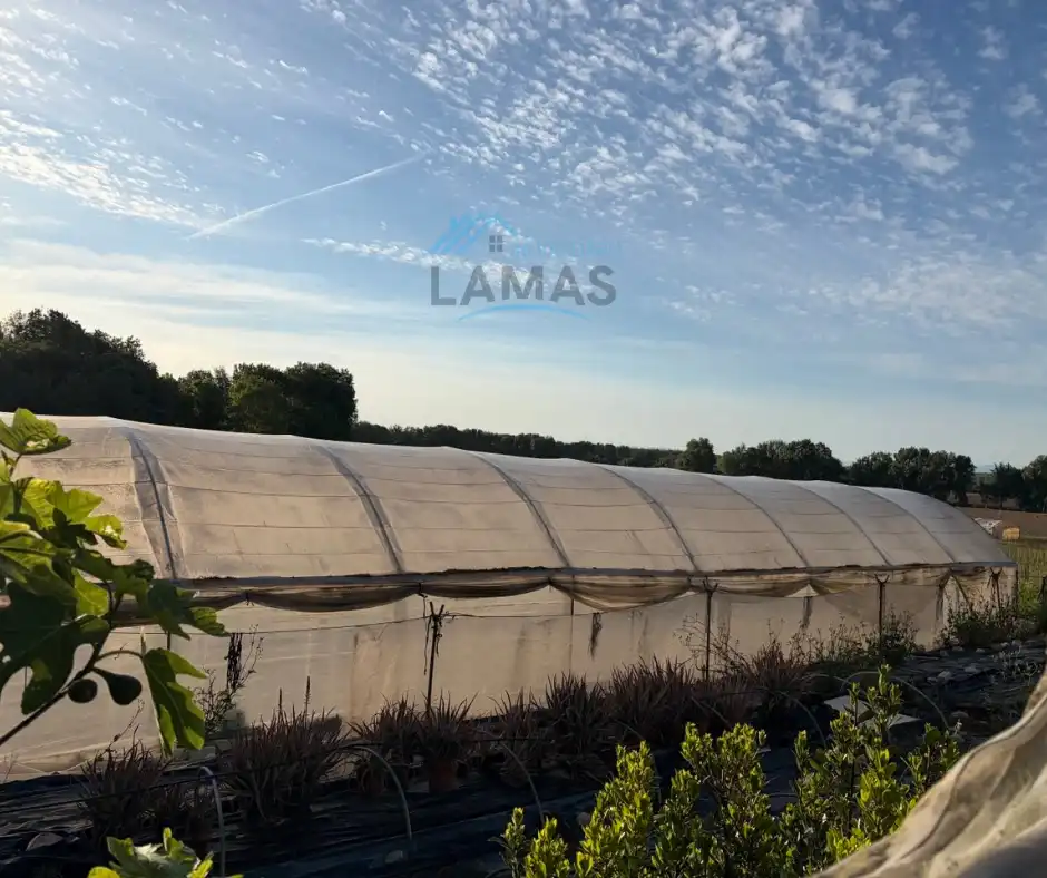 Vista exterior de Finca rústica en venta en Cuacos de Yuste