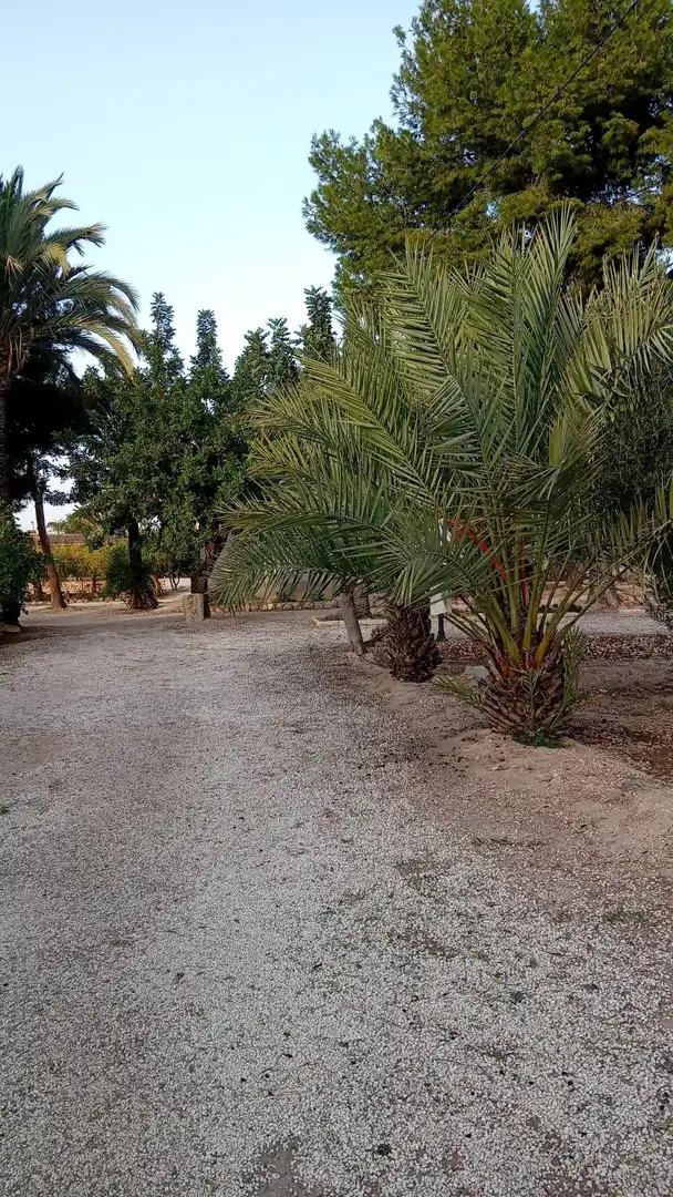 Villa à vendre à Jubalcoi, imagen 30