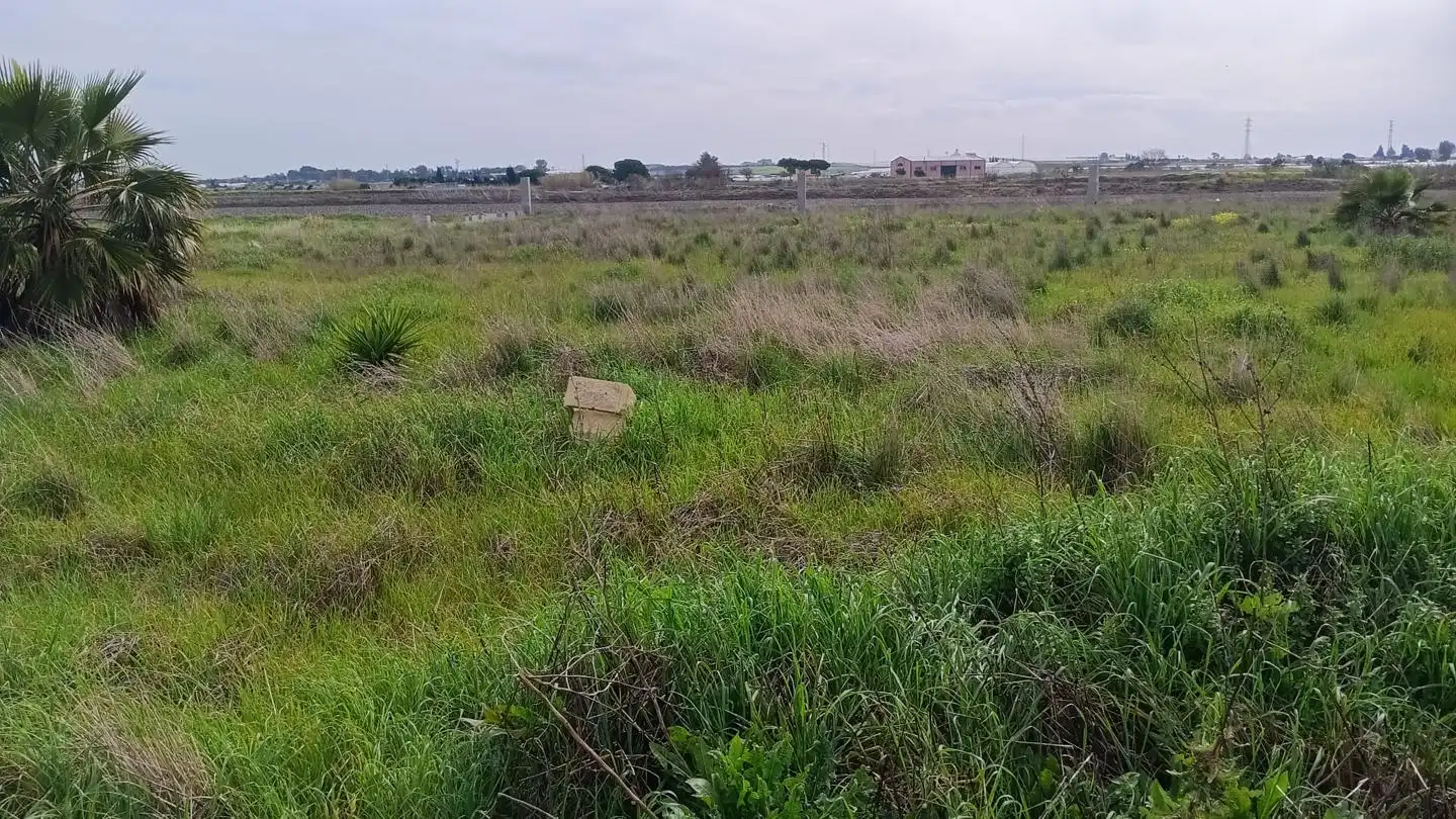 Terreni e lotti in vendita a Algarrobo, imagen 7