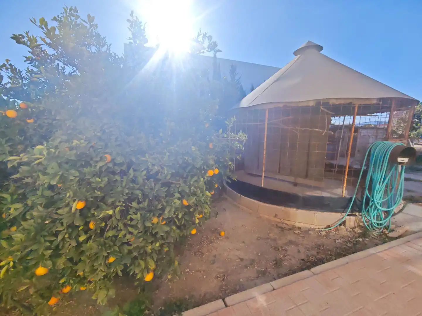 Garden of Houses for sale in Murcia  with Terrace