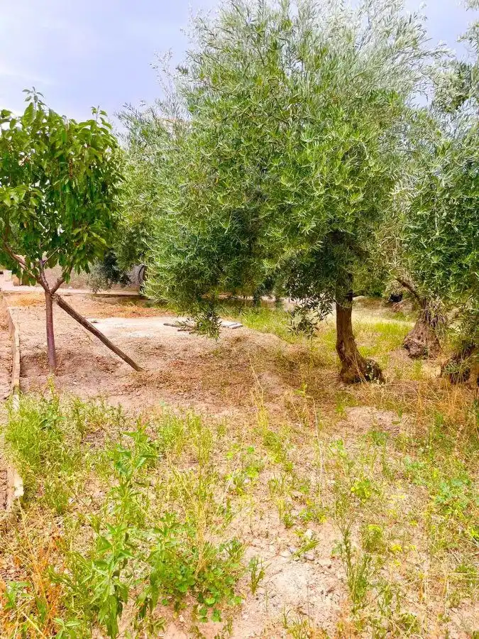 Country homes for sale in Vélez-Rubio