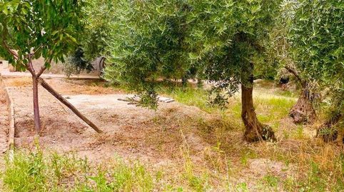 Casa Rural en venta en VélezRubio, 1 dormitorio., immagine 4