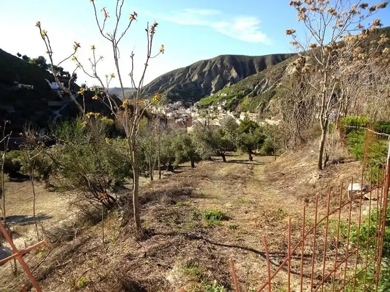 Terreno rustico in vendita a Calle LA CUESTA, imagen 2