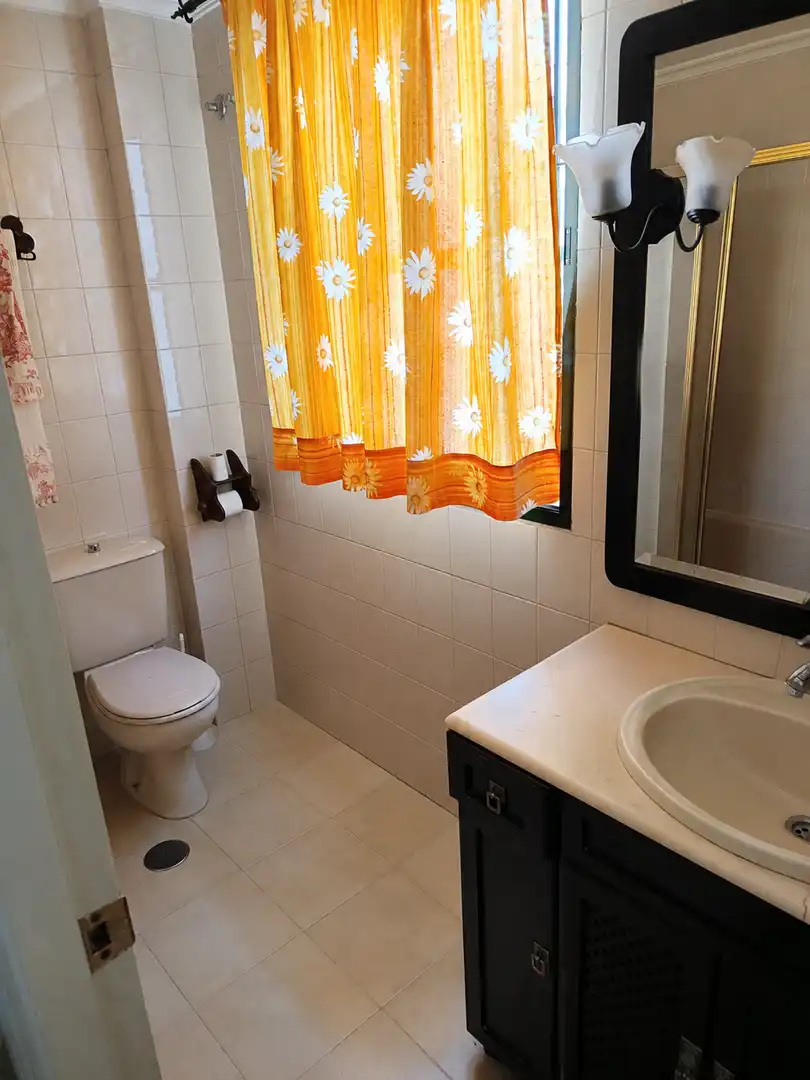 Bany de Casa o xalet en venda en Écija amb Aire condicionat, Terrassa i Moblat