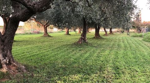 Foto 5 de Terreny en venda a Pueblo, Benicarló