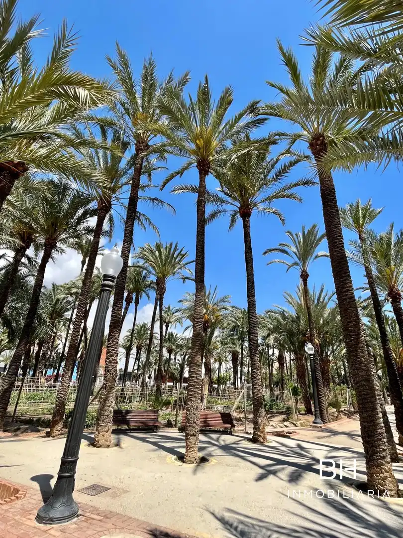 Wohnung mit Terrasse zum Verkauf in Elche ciudad, imagen 21