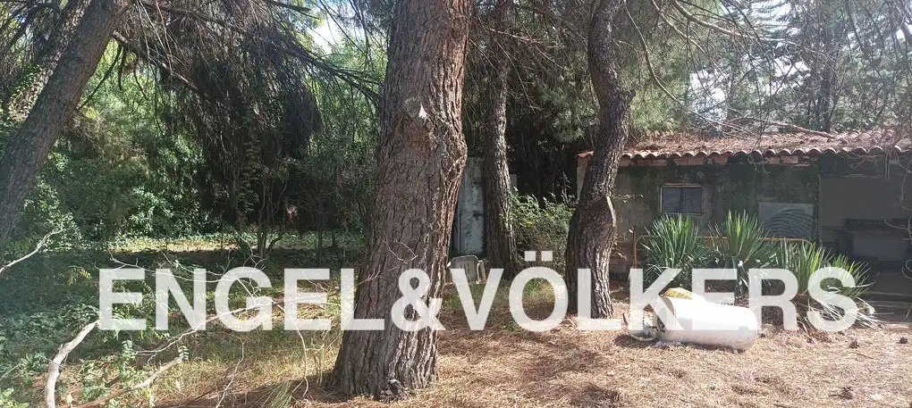 Casa o chalet en venta en Fuente El Saz de Jarama