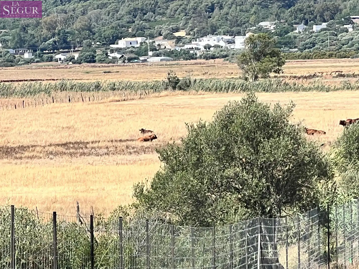 Terreno rustico in vendita a Barbate ciudad, imagen 2