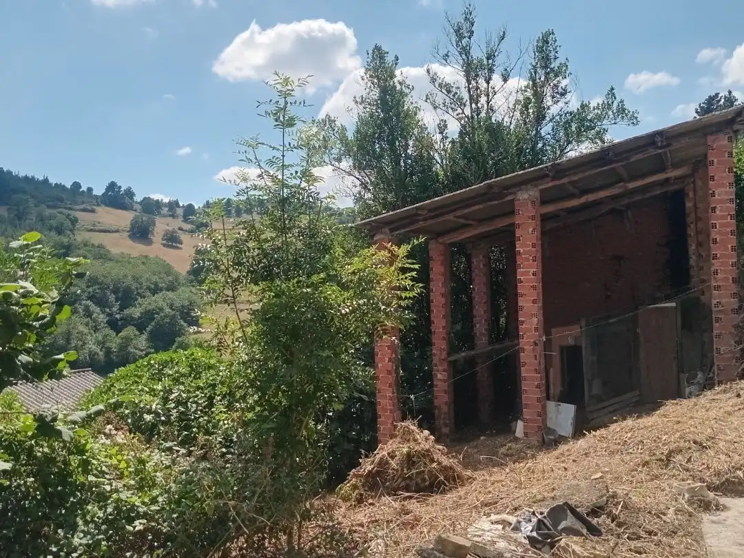 Vista exterior de Casa o xalet en venda en Tineo amb Terrassa