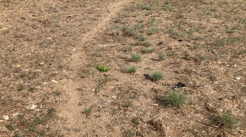 Photo 4 of Land for sale in Calle Torrent Dels Frares, Can Moré - Santa Anna - Can Feliu de Merola, Barcelona