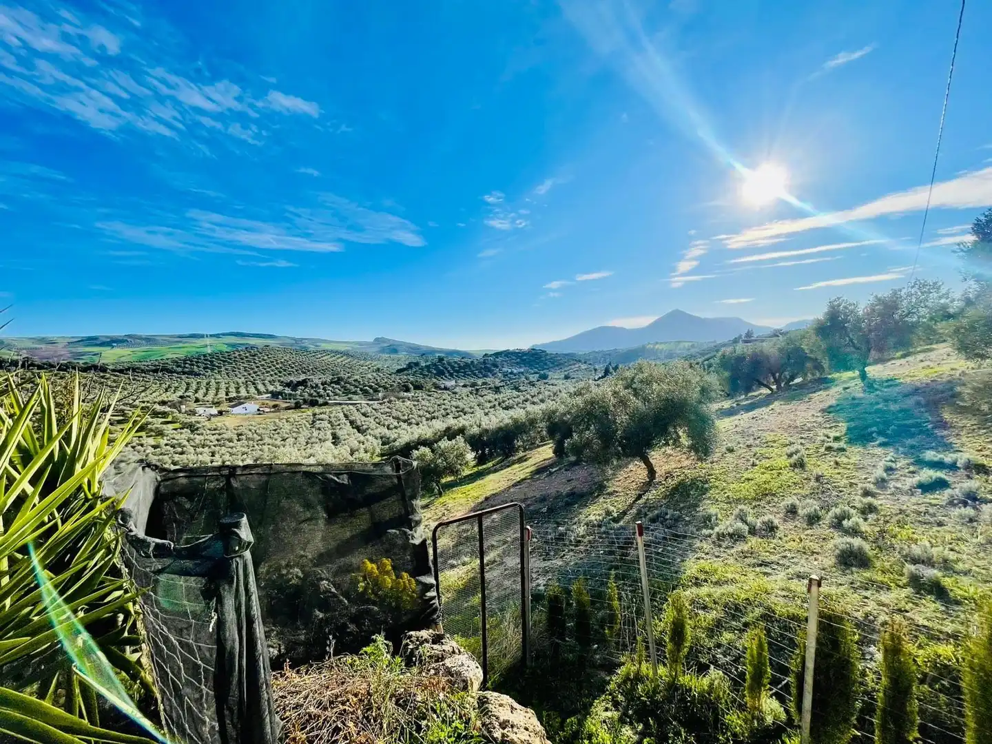 Vista exterior de Finca rústica en venta en Antequera con Jardín privado, Trastero y Piscina