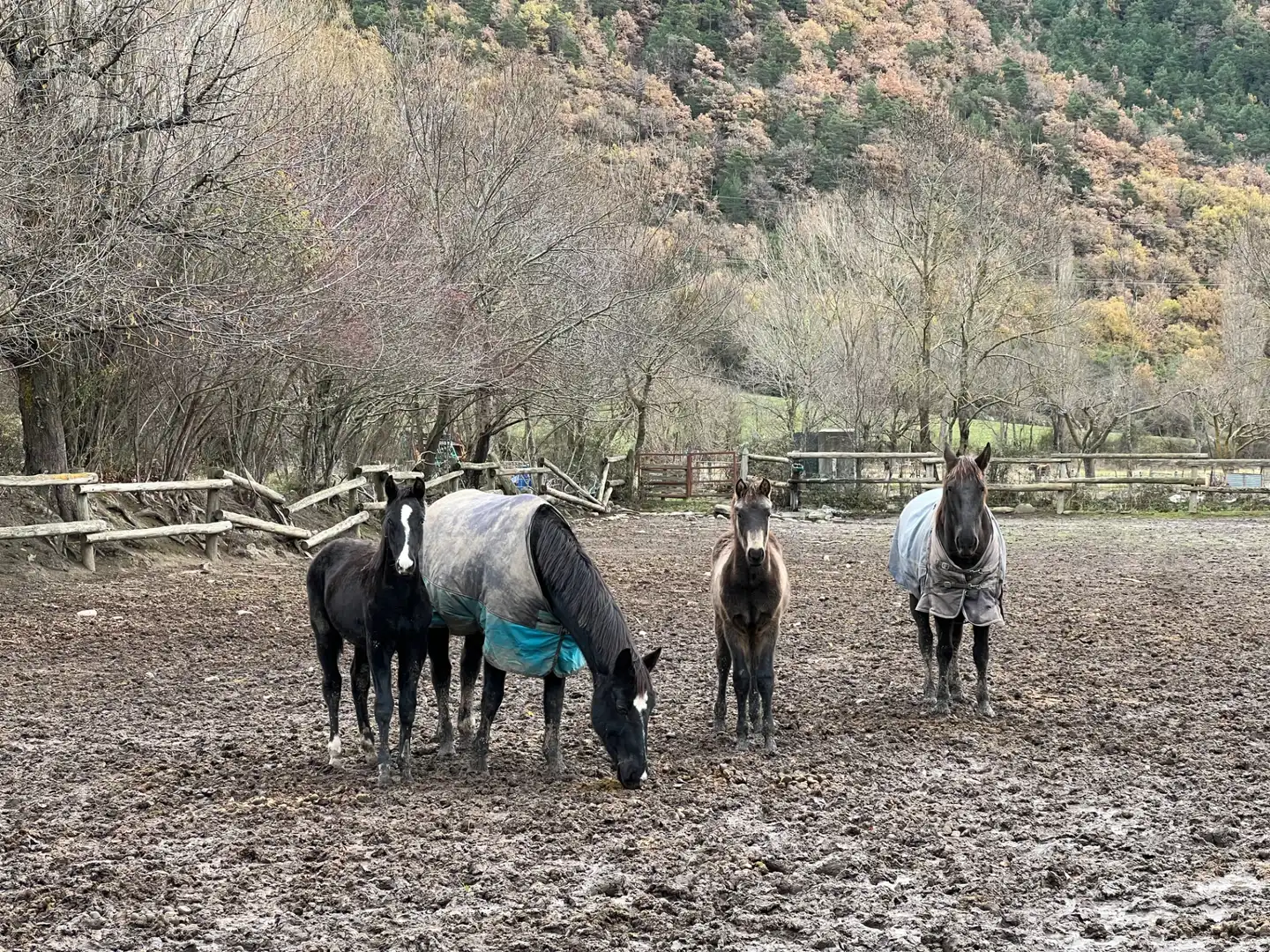 Terreni e lotti in vendita a Camino Oros Alto, imagen 29