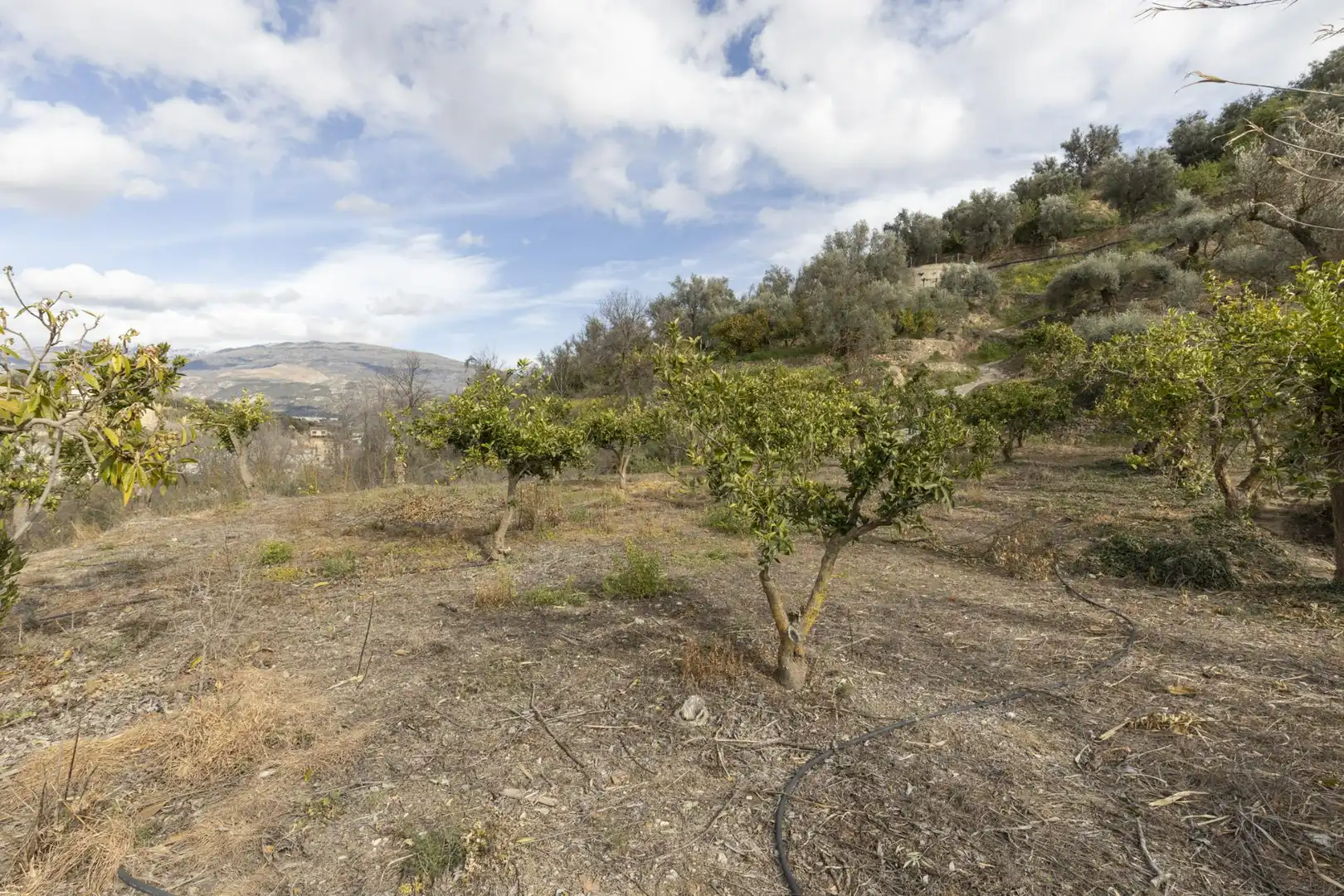 Terreno en venta en El Valle