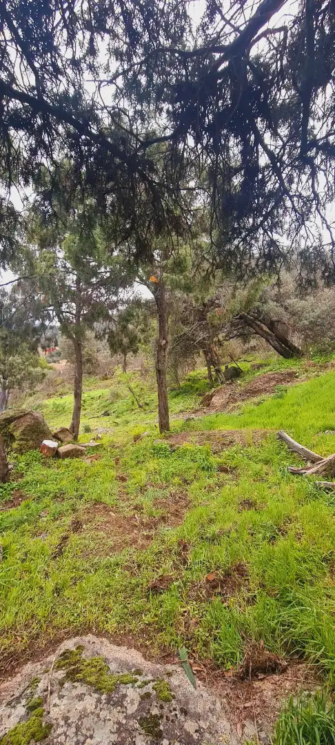 Residential land for sale in Calle Tajuña 726, imagen 10