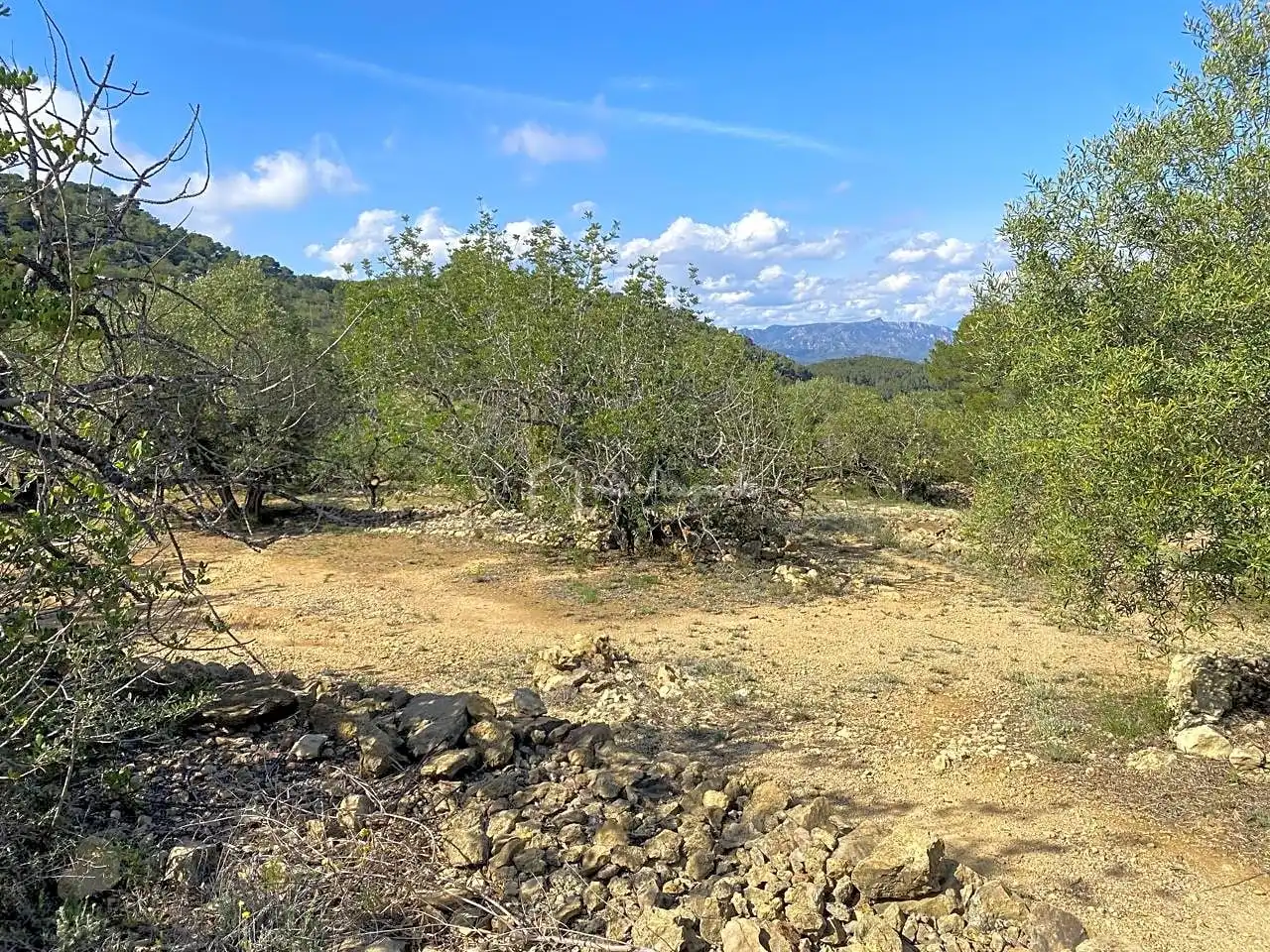 Terreno rustico in vendita a Puig Moltó, imagen 21