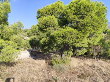 Terreno rustico in vendita a Totana