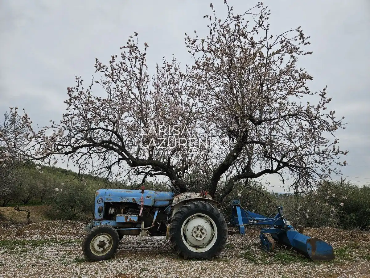 Jardí de Finca rústica en venda en Riudoms