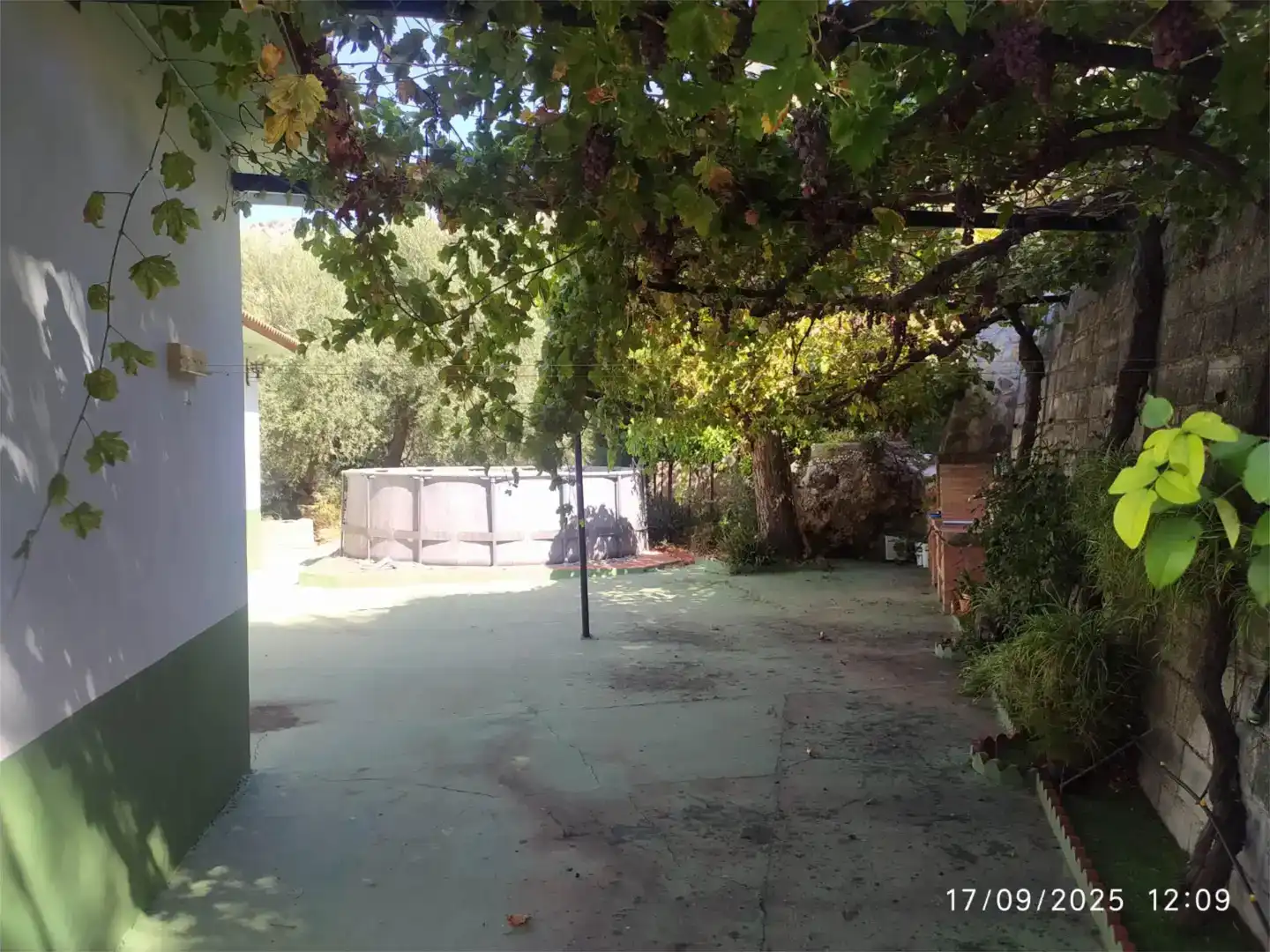 Jardí de Finca rústica en venda en Alfarnatejo amb Aire condicionat i Jardí privat