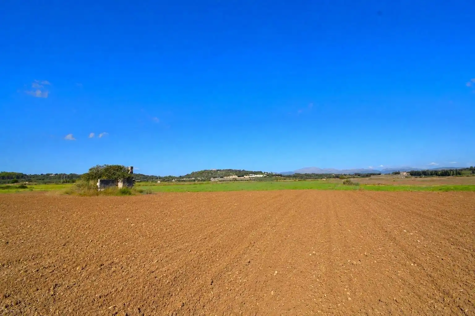 Rural land for sale in Muro, imagen 13