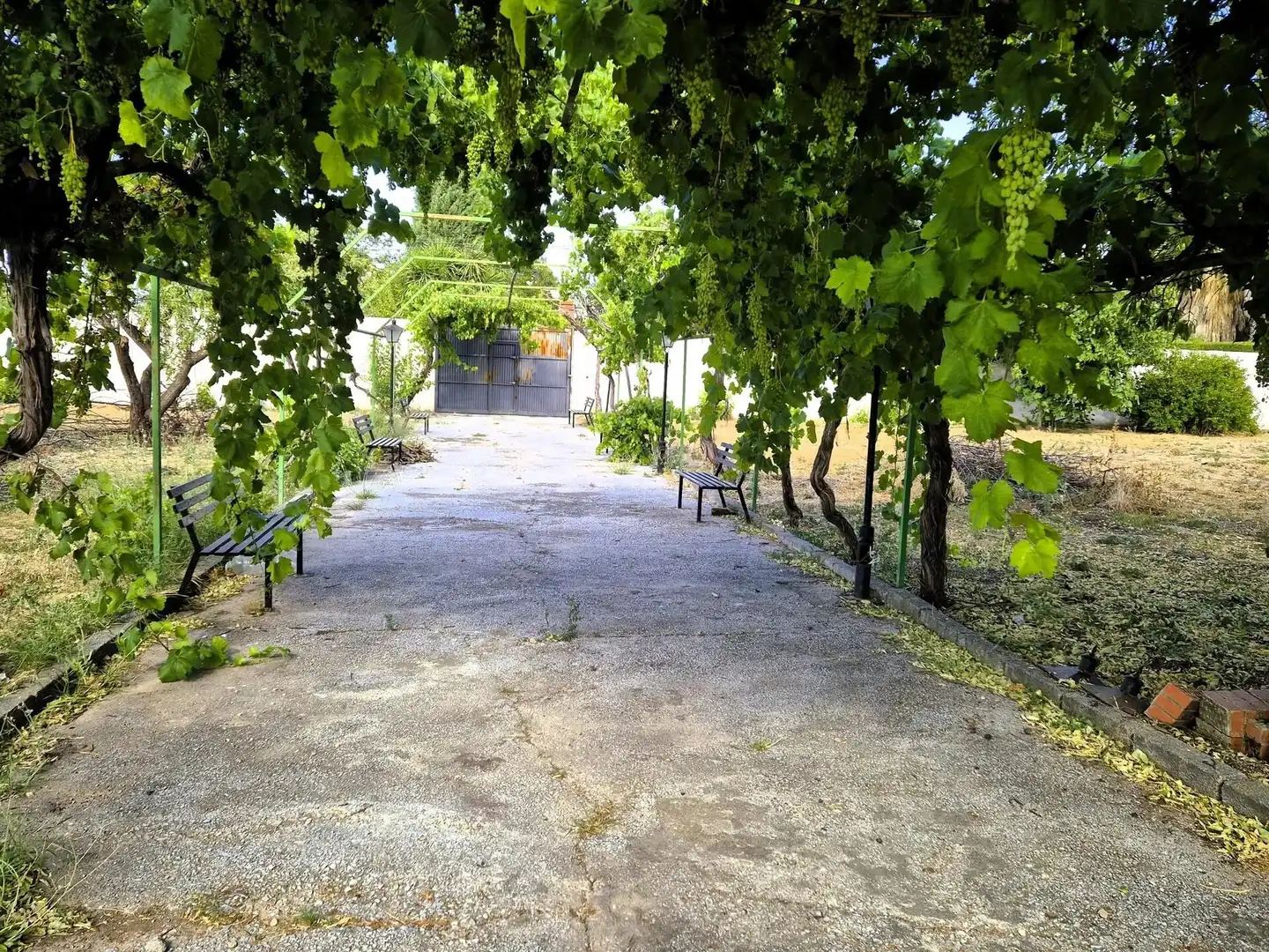 Wohnbaugrundstück zum Verkauf in Moraleda de Zafayona, imagen 9