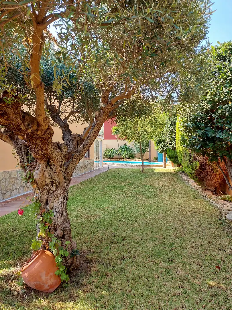 Jardí de Casa o xalet en venda en La Pobla de Vallbona amb Aire condicionat, Calefacció i Jardí privat