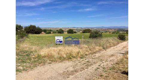 Foto 3 de Finca rústica en venta en La Dehesa - El Pinar, Navalcarnero