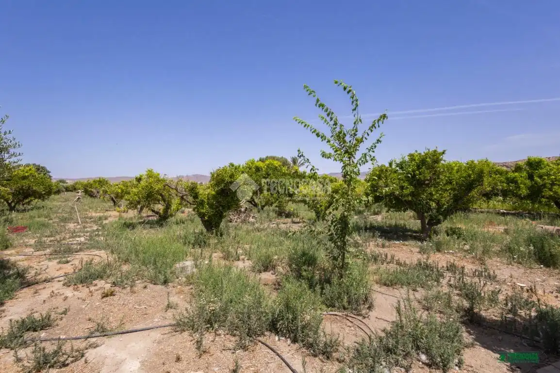 Finca rústica en venta en Cuevas del Almanzora con Aire acondicionado