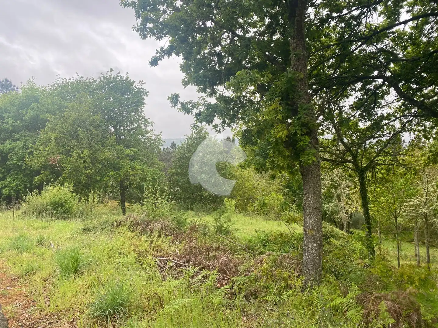Terreni e lotti in vendita a O Pereiro de Aguiar, imagen 9