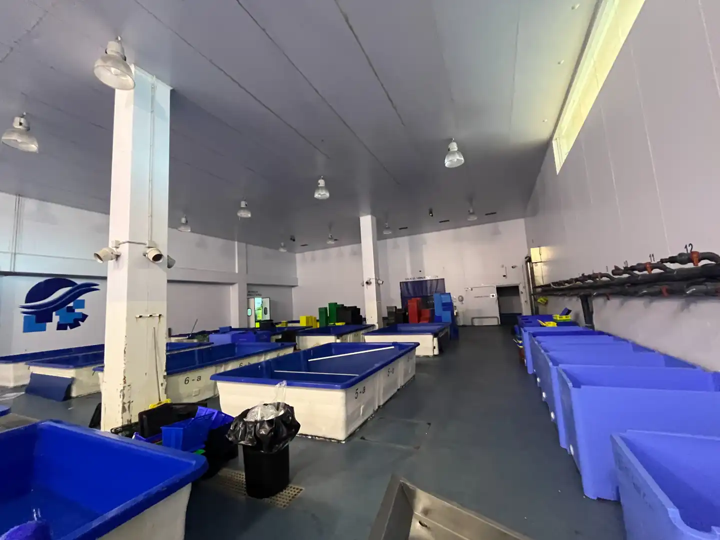 Nave industrial de alquiler en Derio con Calefacción y Alarma