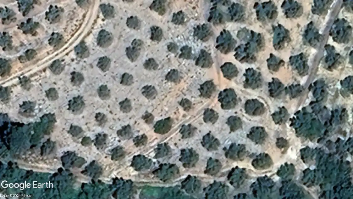Terreni e lotti in vendita a Beas de Segura, imagen 2