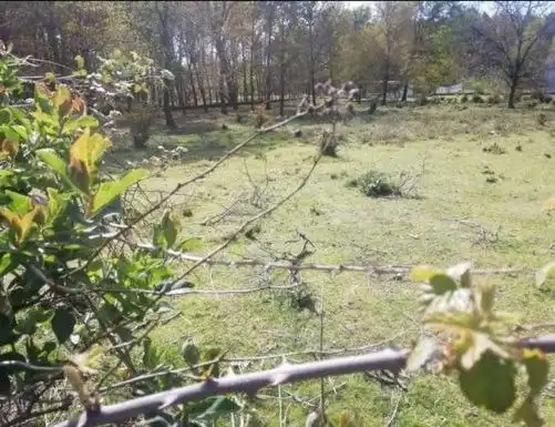 Terreni e lotti in vendita a Amoeiro, imagen 2
