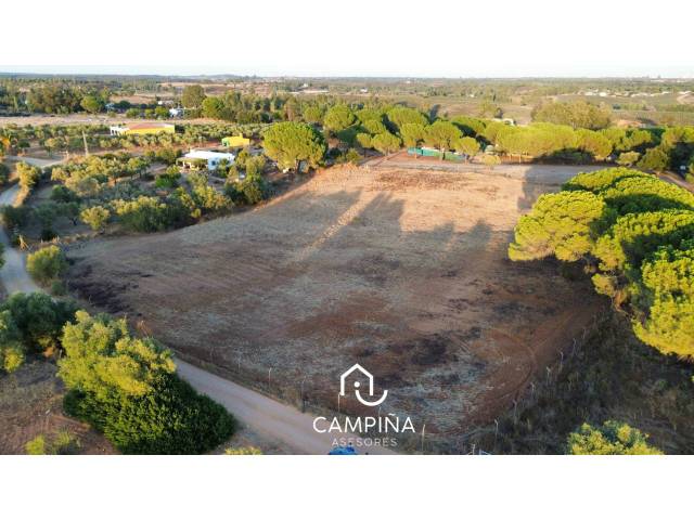 Terreno en Venta en Trigueros