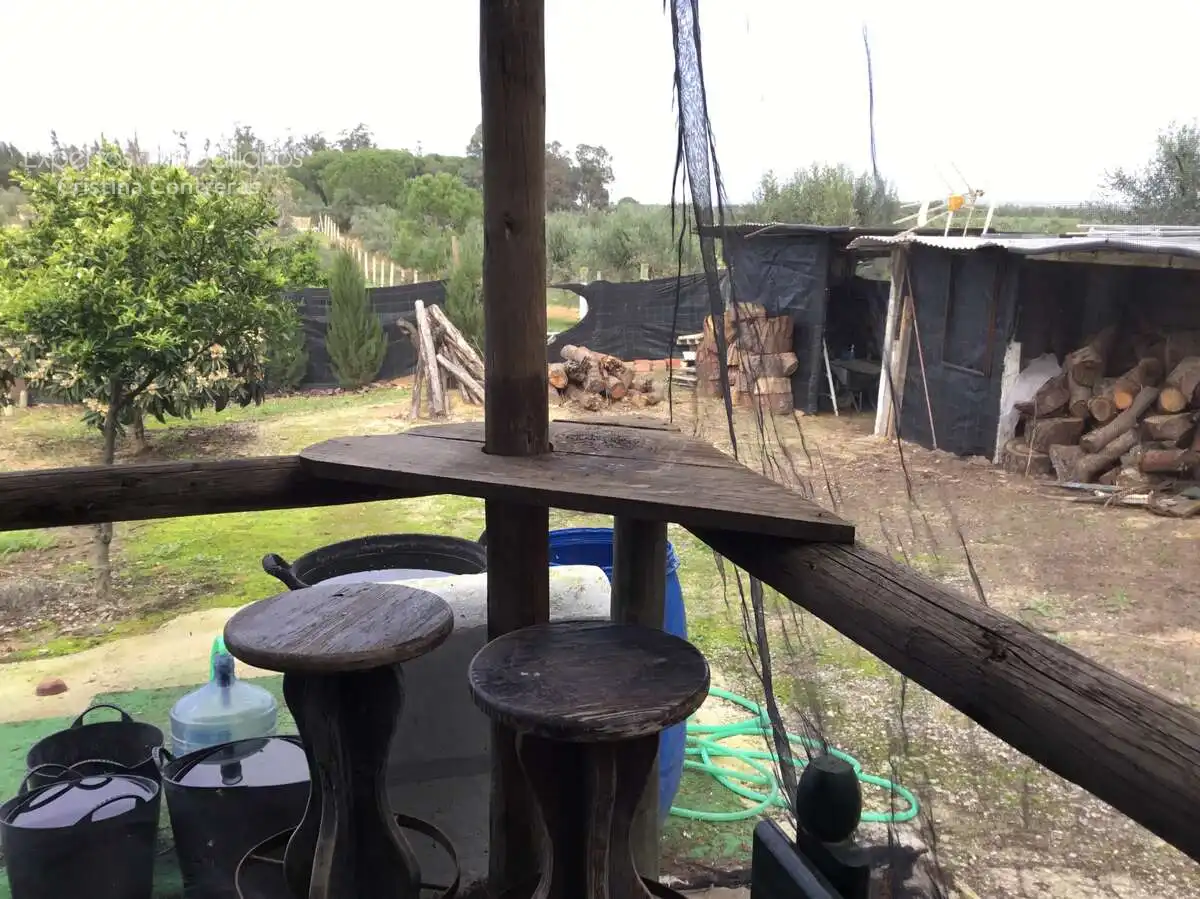 Country house with pool for sale in Almonte ciudad, imagen 50