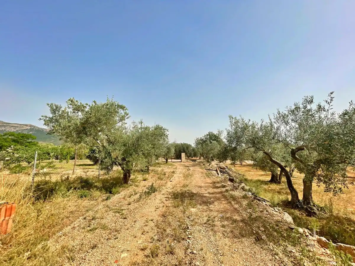 Casa o xalet en venda en Xerta amb Terrassa