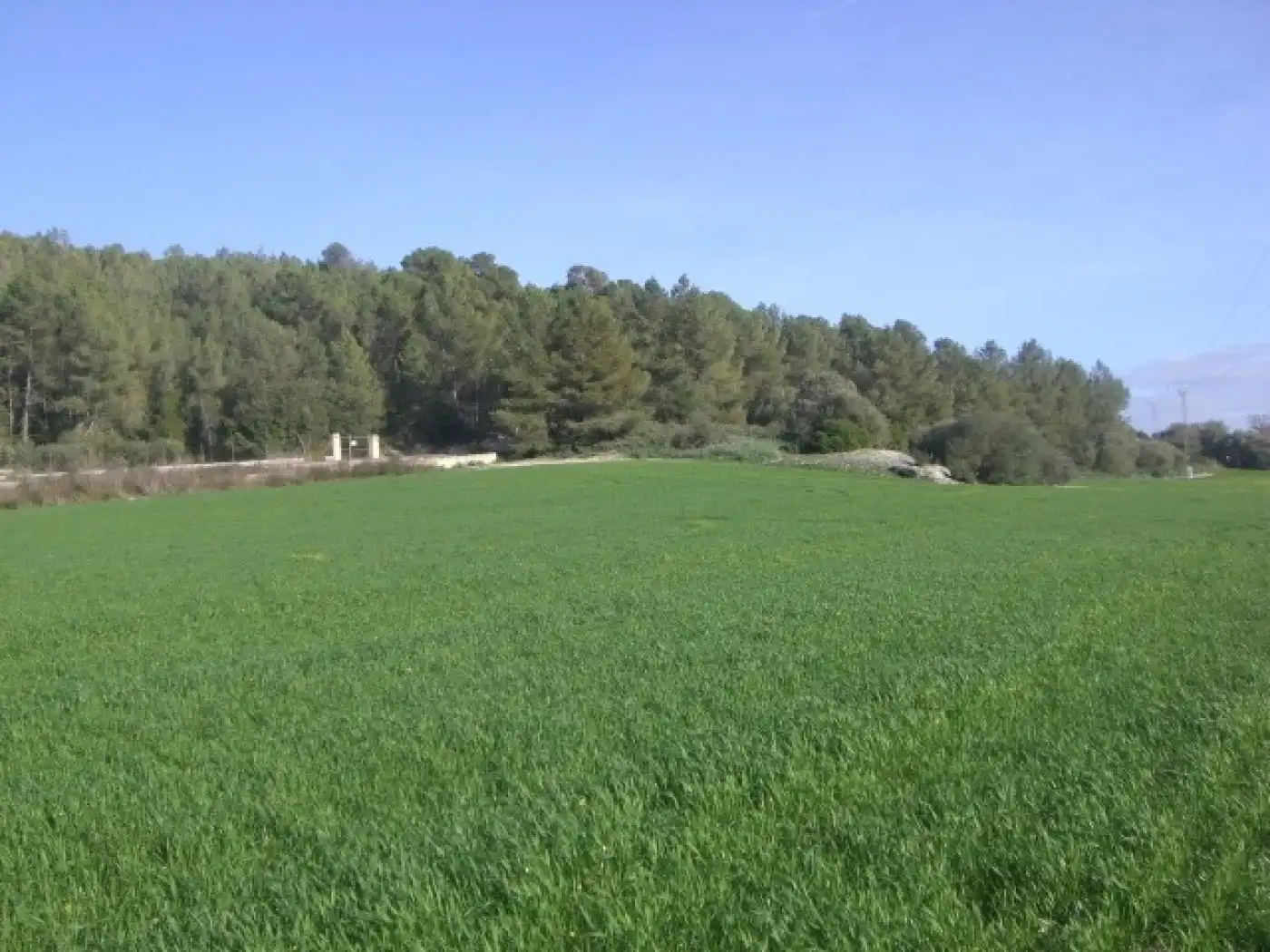 Casa rústica en venda a Algaida, imagen 7