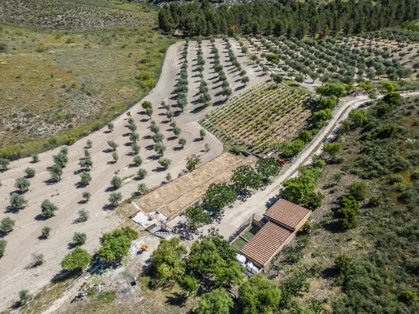 Finca rústica en venta en Chinchón con Aire acondicionado, Calefacción y Jardín privado