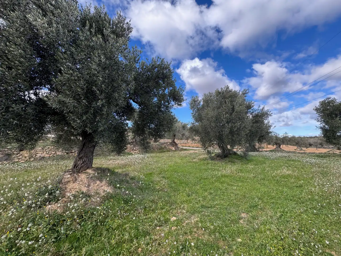 Terreni e lotti in vendita a Valjunquera, imagen 16