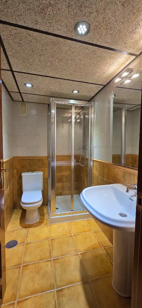 Bany de Pis en venda en Jaén amb Aire condicionat, Terrassa i Traster