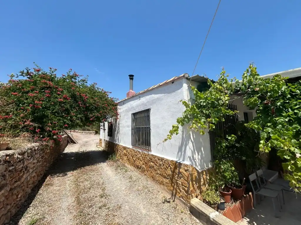 Vista exterior de Finca rústica en venta en Sot de Ferrer