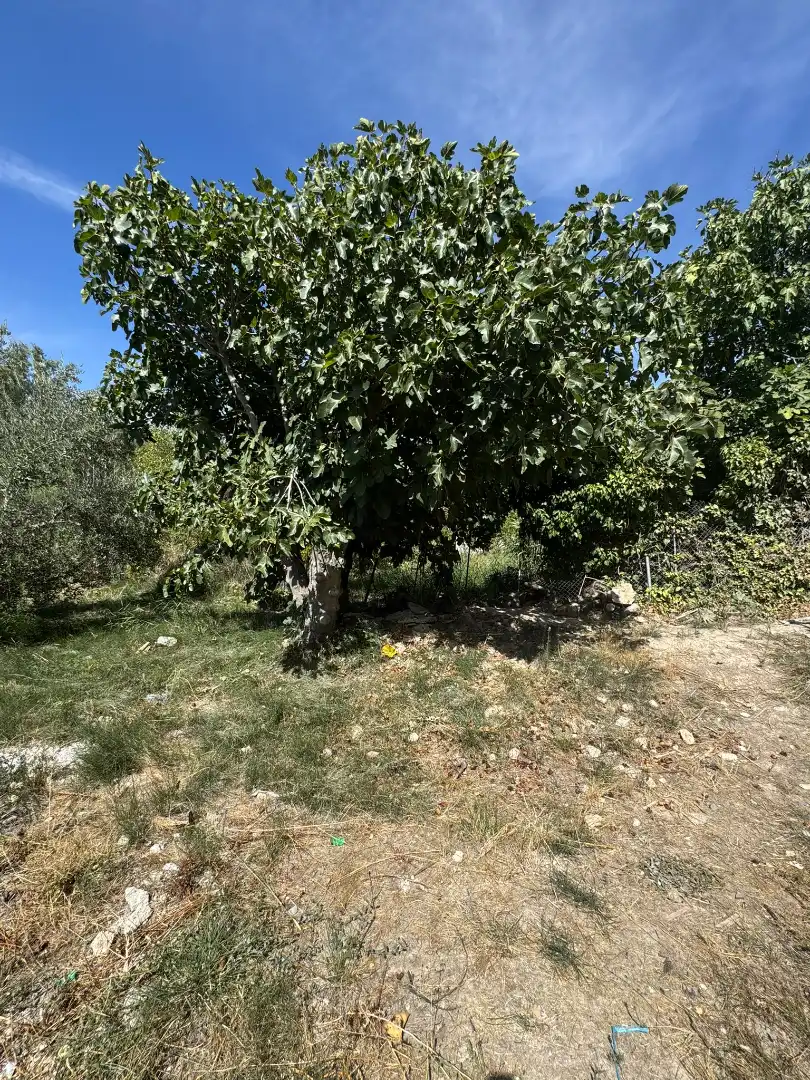 Detached house with pool for sale in Camino de las Huertas Grandes, imagen 2
