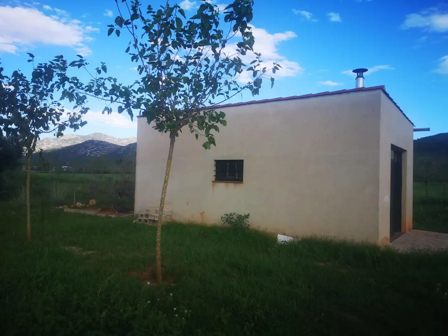 Terreno rustico in vendita a Ulldecona, imagen 25