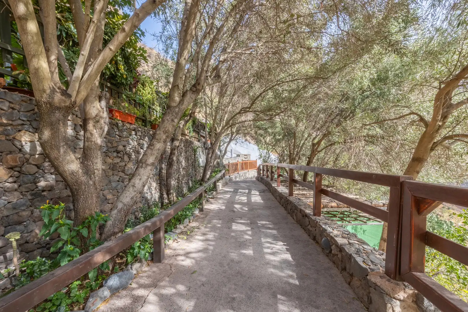 Country house with garden for sale in Casa rural Guayadeque Ca´ Juani, imagen 29