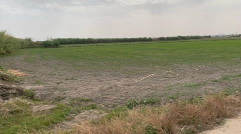 FINCA RUSTICA DE REGADIO, imagen 5