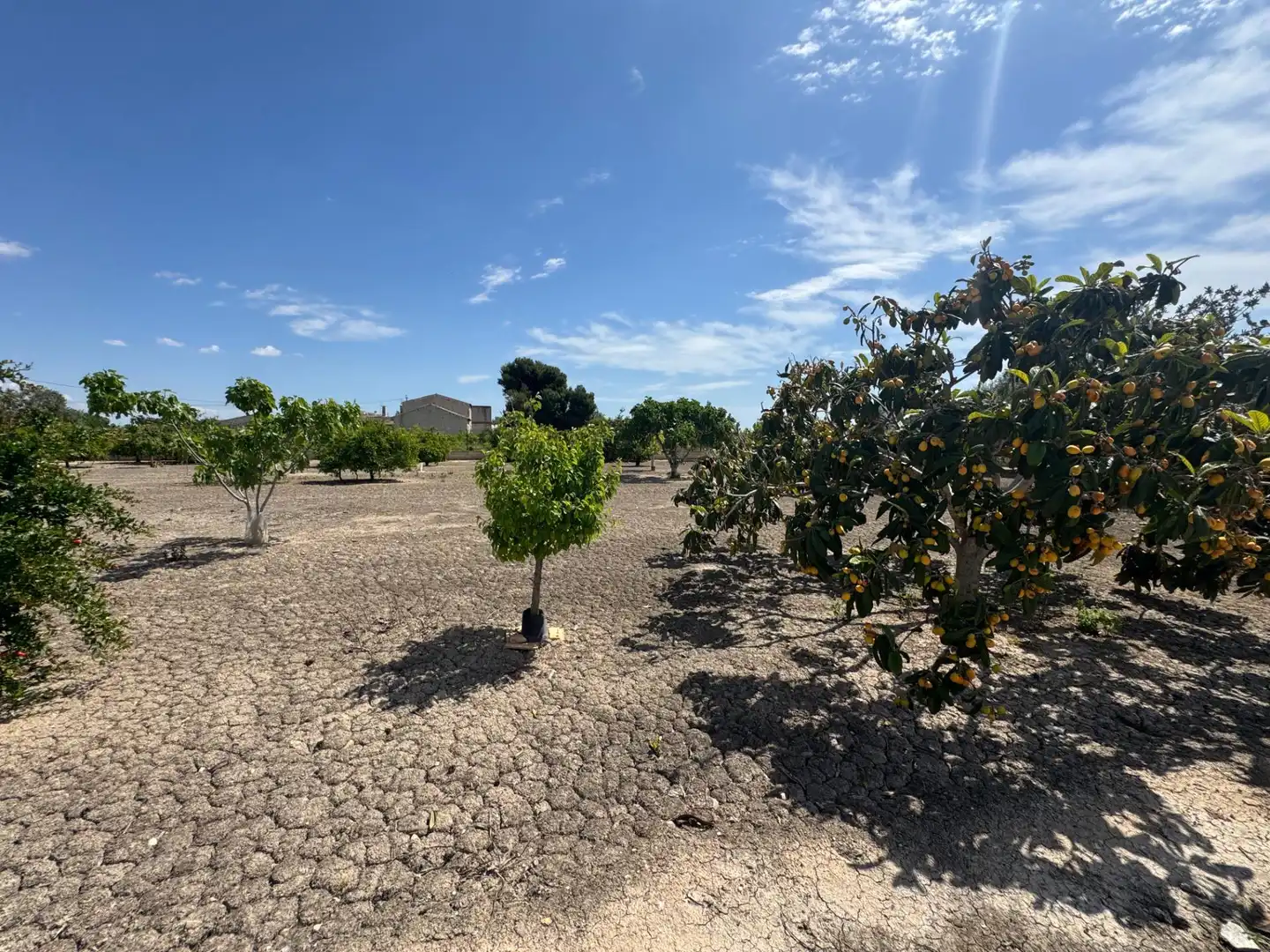 Casa en venta en Callosa de Segura, imagen 8